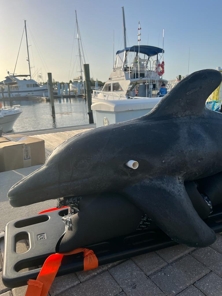 Mike Heithaus (@mikeheithaus) on Twitter photo The correct answer is Gooey! For the first time ever, we deployed this non-toxic gelatin #dolphin to investigate #shark bites on dolphins. Check out what we learned in Sharks vs. Dolphins: Bahamas Battleground on <a href="/NatGeoTV/">National Geographic TV</a> #sharkfest The correct answer is Gooey! For the first time ever, we deployed this non-toxic gelatin #dolphin to investigate #shark bites on dolphins. Check out what we learned in Sharks vs. Dolphins: Bahamas Battleground on <a href="/NatGeoTV/">National Geographic TV</a> #sharkfest