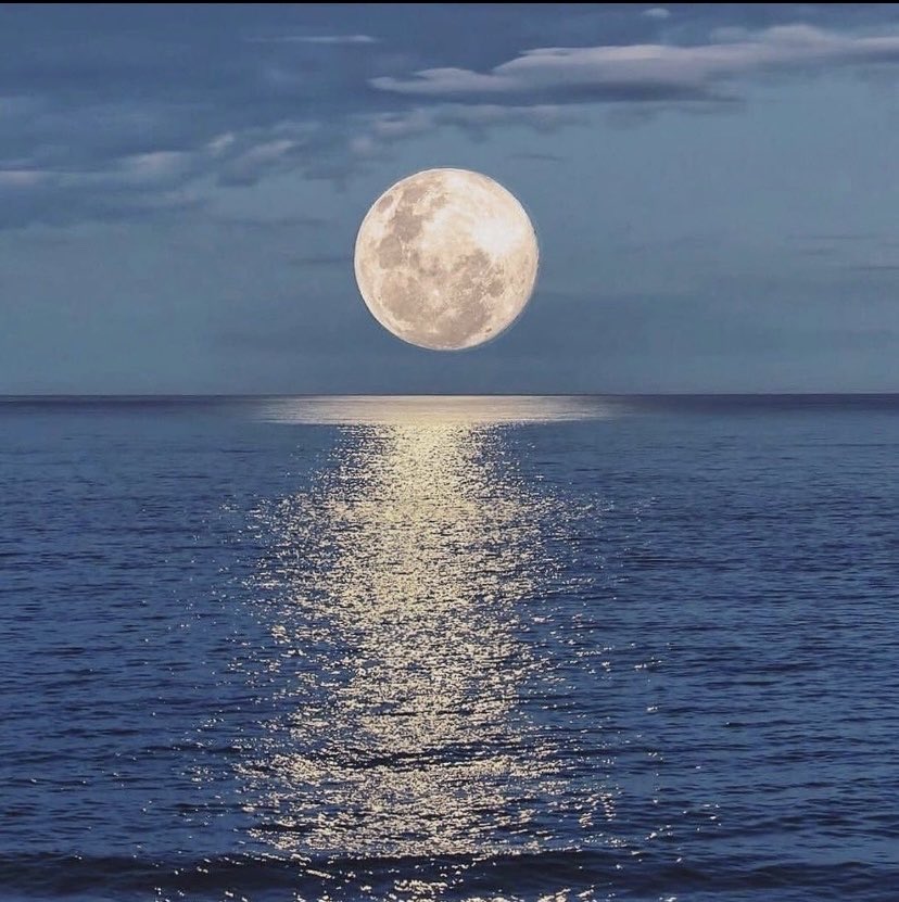 حسين ربيع اليامي tweet media