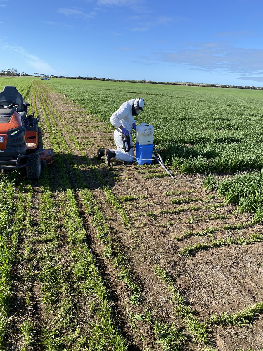 Busy few days for Growers Supplies R&amp;D program. Taking advantage of the weather spraying out treatments. Trials include Herbicide Demo’s, Fence Line Control, New Varieties, New Seed Treatments and Nutrition.
