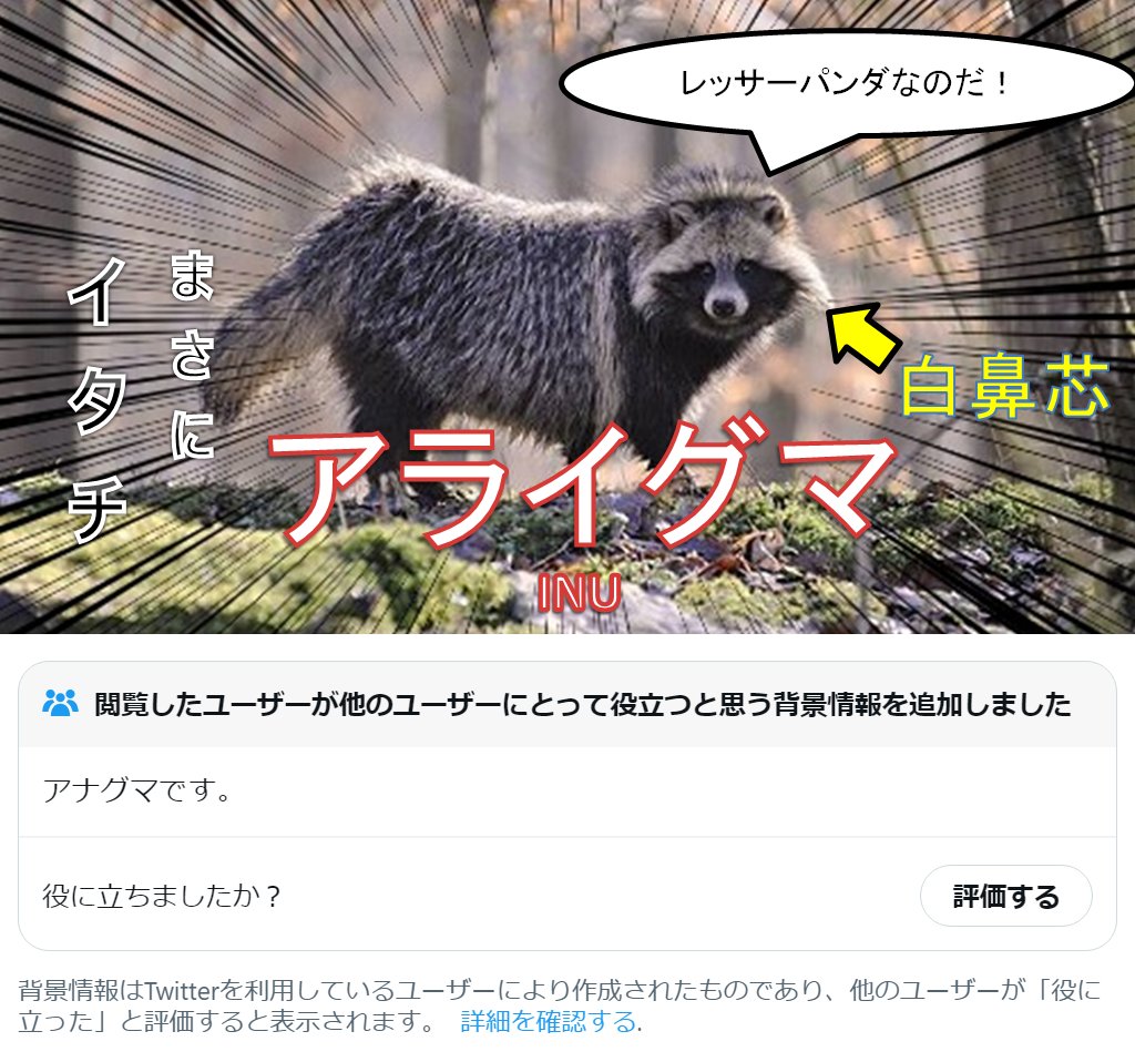 ファクトチェックするのだ！