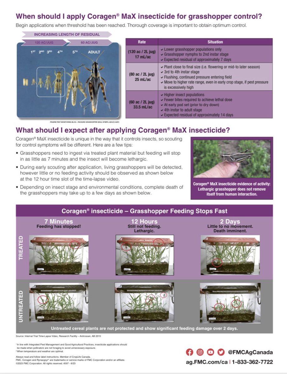 Rachel Evans tweet media