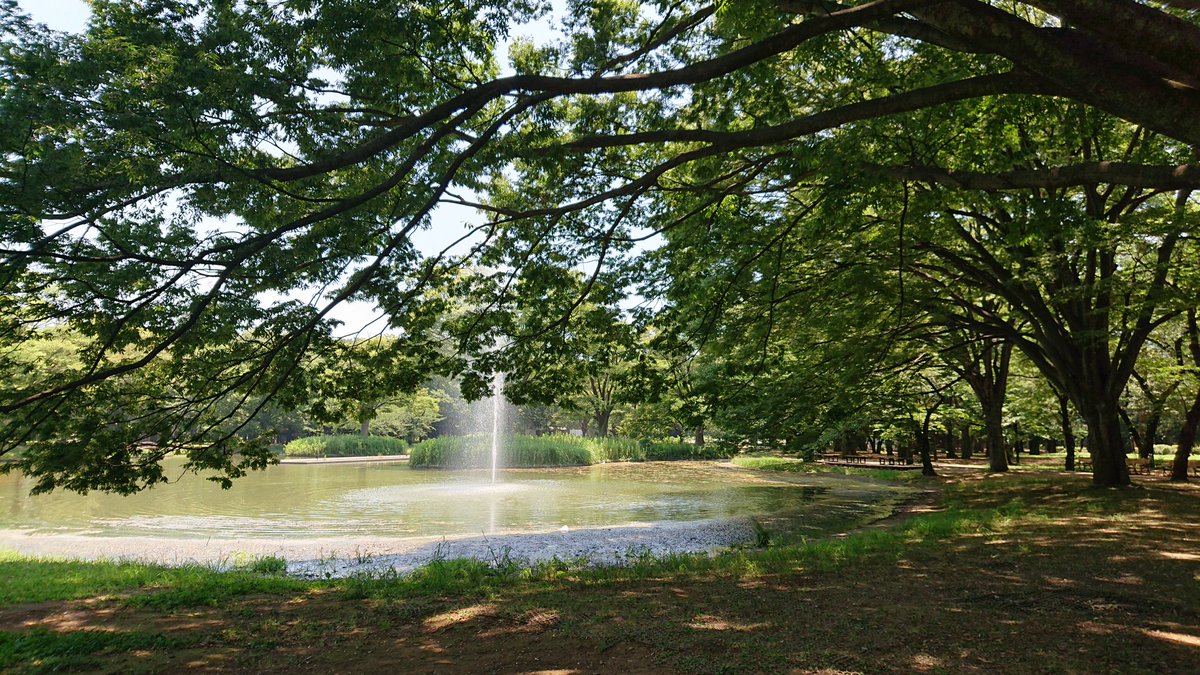 さとう美生 tweet media