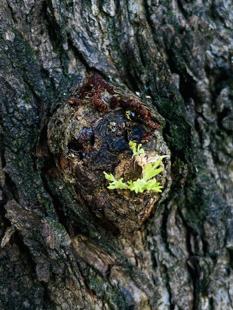 め https://t.co/UnfZotHS3a