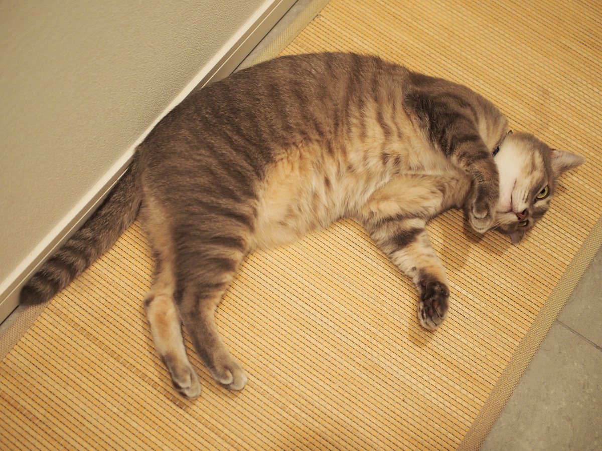 今は窓を開けると隣接してる家の換気扇からたばこのにおいが入ってしまうので開けられないのだ。 