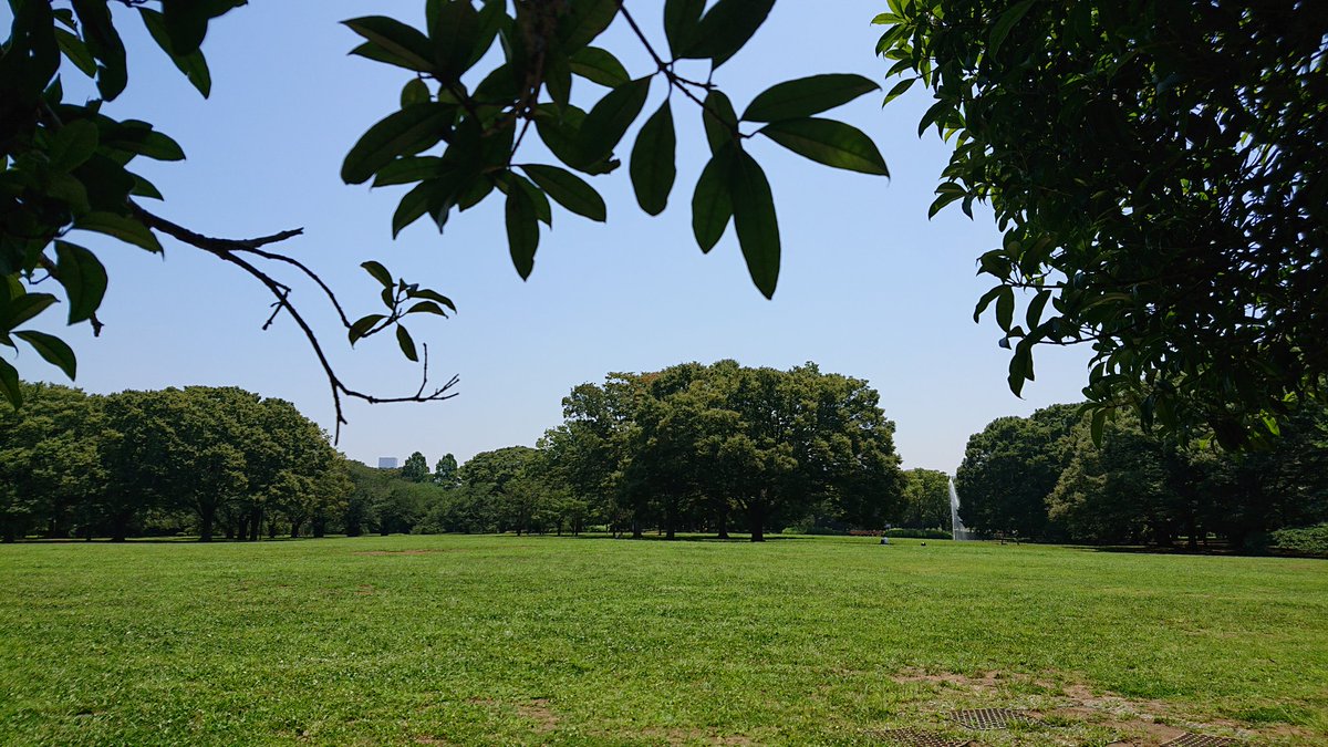 さとう美生 tweet media