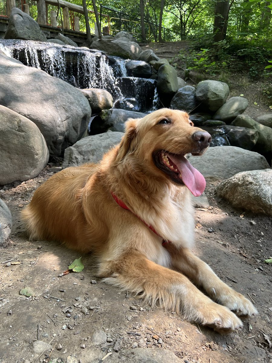 mayrushart tweet media