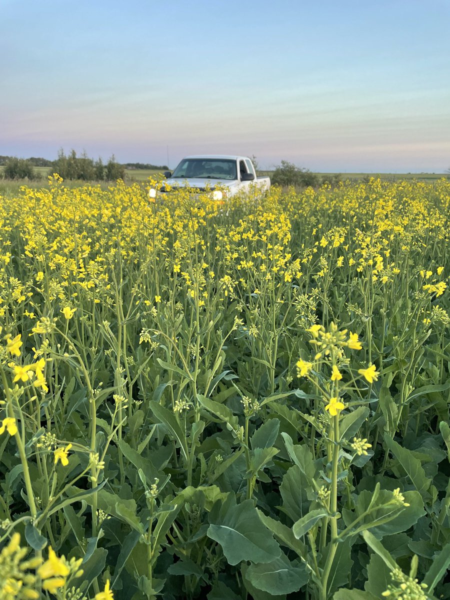 Paul Robertson tweet media