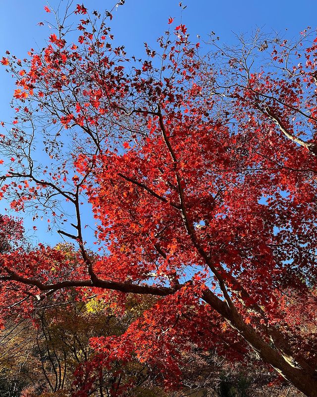 Jessy_0520's tweet photo. ❤️# Miss the day travel in Japan. https://t.co/CocTtuy8rC