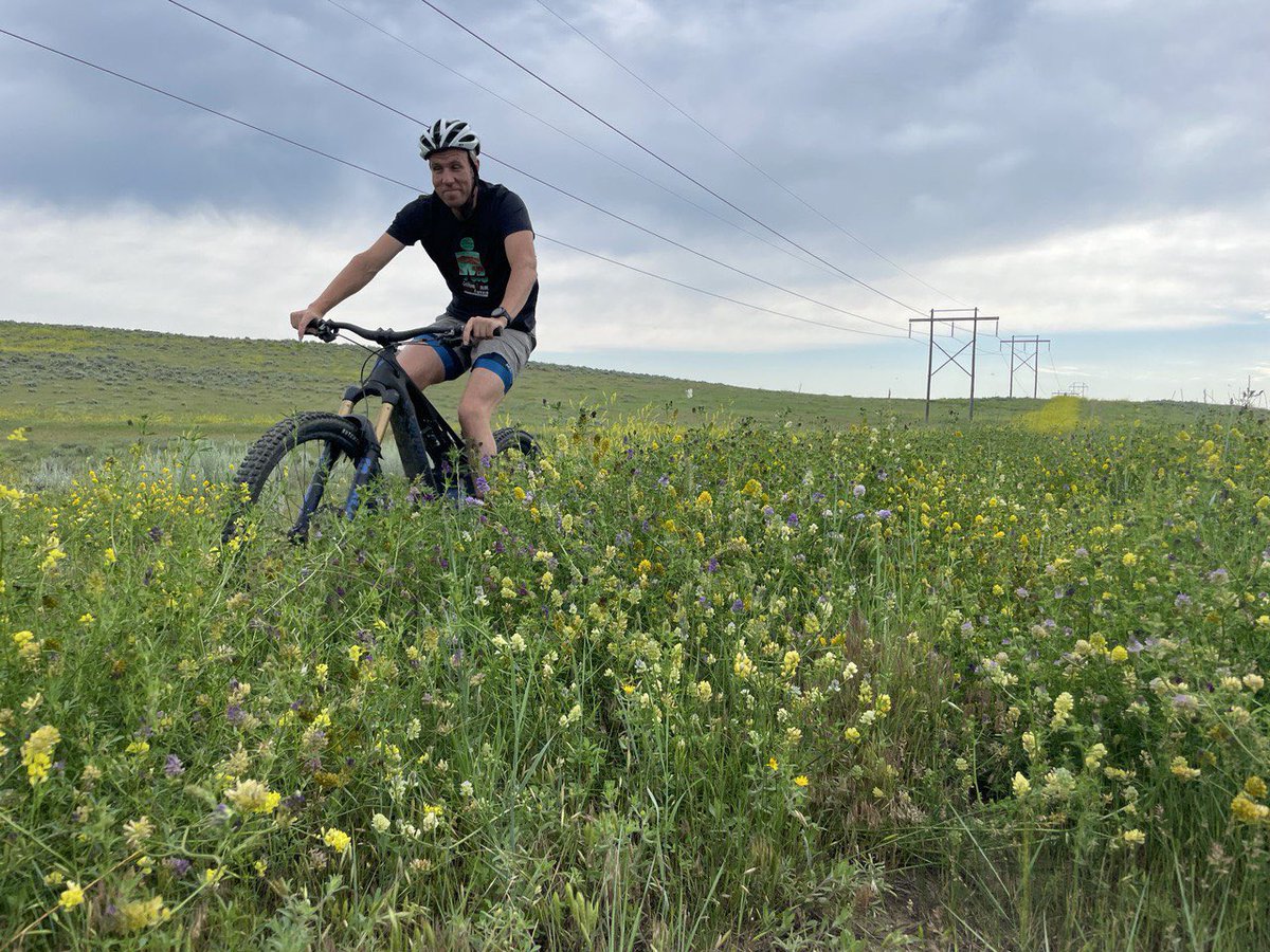 Went for a little ride around the ranch, knee deep in salad the whole time, thinking about those vertical indoor farming startups. Earth is so so big, solar energy is free, water falls from the sky, farmers will work for free, you want to compete with that? Terminally indoor… https://t.co/TrfYul8MHk https://t.co/AFwdAhFso4