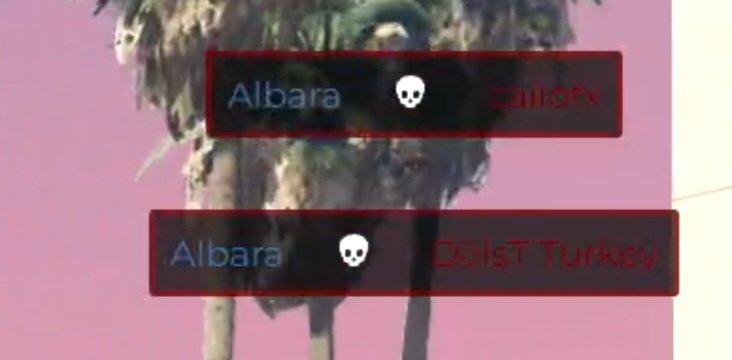 FOFOCOCHAT 👻 tweet media