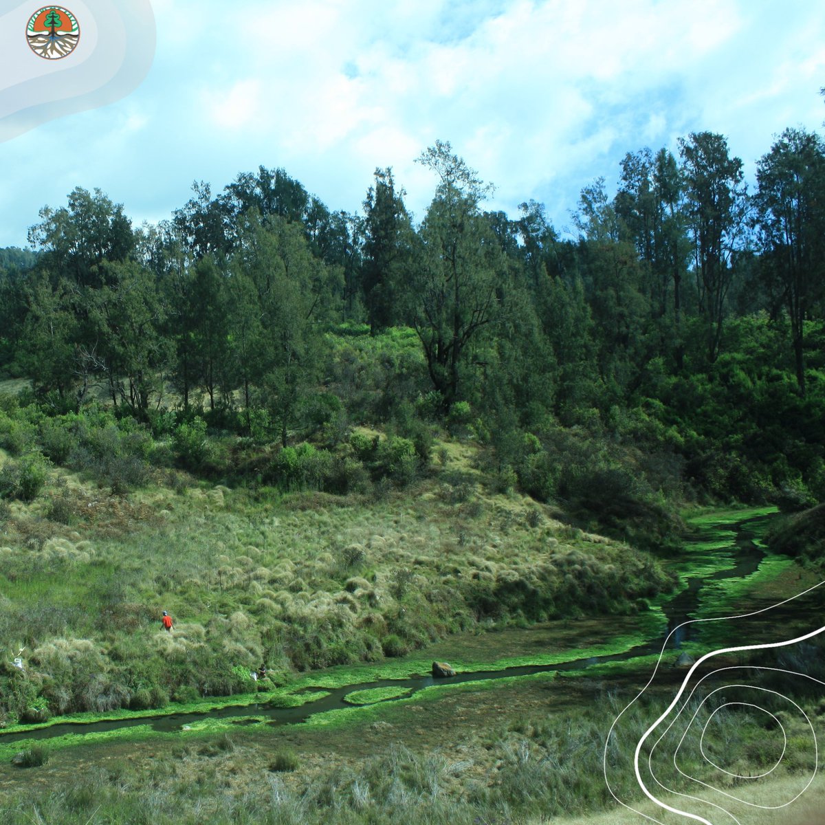 kemenhut_ri's tweet photo. Terkadang, orang yang memaknai kehidupan adalah orang yang pernah kehilangan. Dia akan memaknai hidup dan melihat dunia dengan cara yang berbeda.

Selamat pagi dari sungai qolbu Dataran Tinggi Hyang, Gunung Argopuro. 

#klhk
#Argopuro
#SapaanPagi https://t.co/BAxoHmA5c5