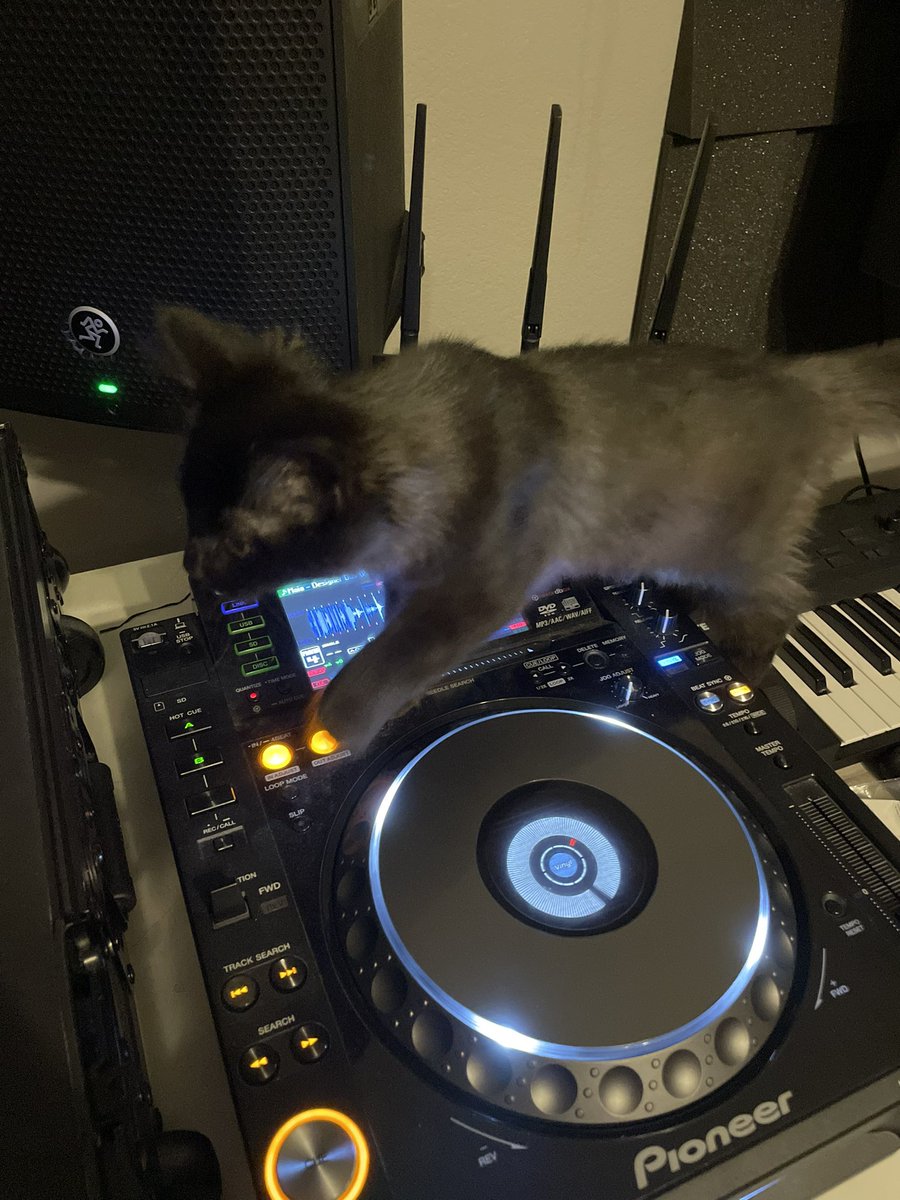 _MAIAmusic_'s tweet photo. Get off!!!! https://t.co/tYtRtGuQjr