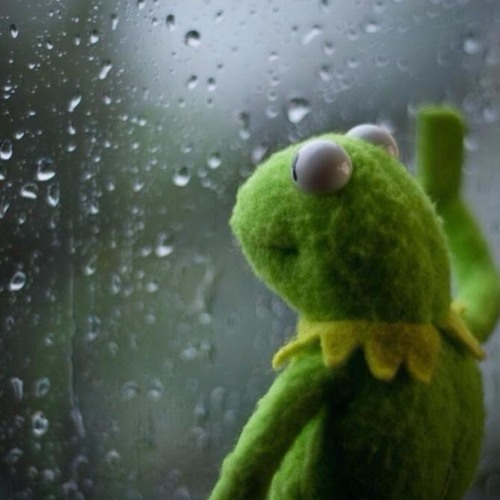 _semiseimei's tweet photo. ao3 is still down🫠🫠🫠 why are we still here?? just to suffer??? https://t.co/VmAgkUVQvz