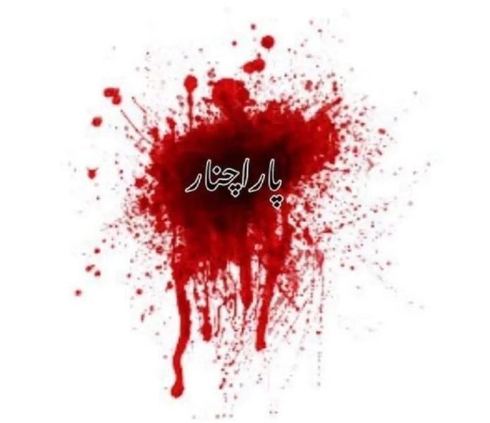 Dua_E_Abbas_AS's tweet photo. Parachinar is currently under attack by Taliban. This attack has resulted in loss of several lives. The state &amp; security institutions are completely silent. You all are requested to raise voice, Join ht

#Parachinar
Stop Shia Genocide
Parachinar wants peace

11 July (whole Day) https://t.co/B25HavoOYP