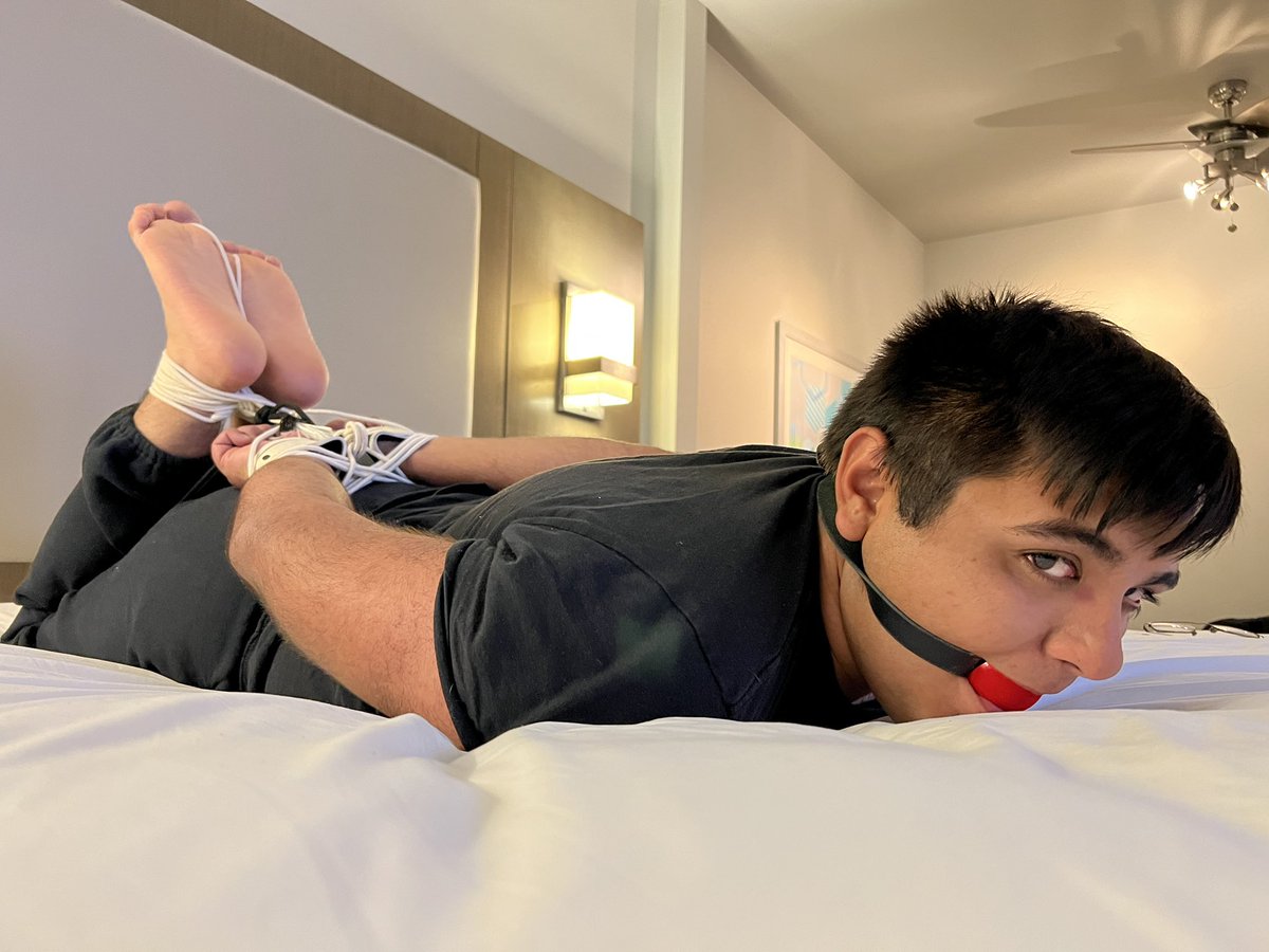 JakeIntoBndge tweet media