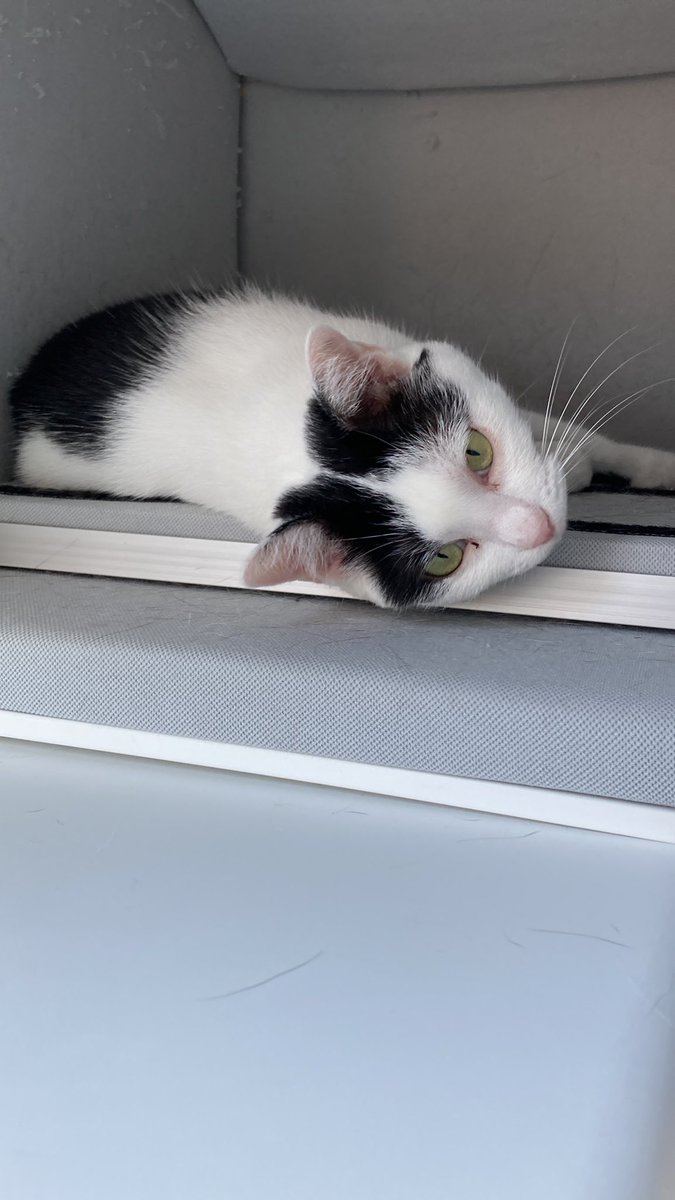 今日の
月乃さん

＼あらやだ、みんといてほしいわっ／ https://t.co/4AkXVeJKeO