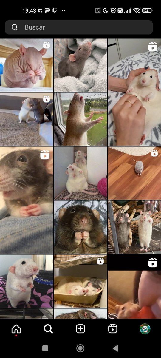 Entro a mi ig y solo me sale esto ¿Acaso hay algo más perfecto?