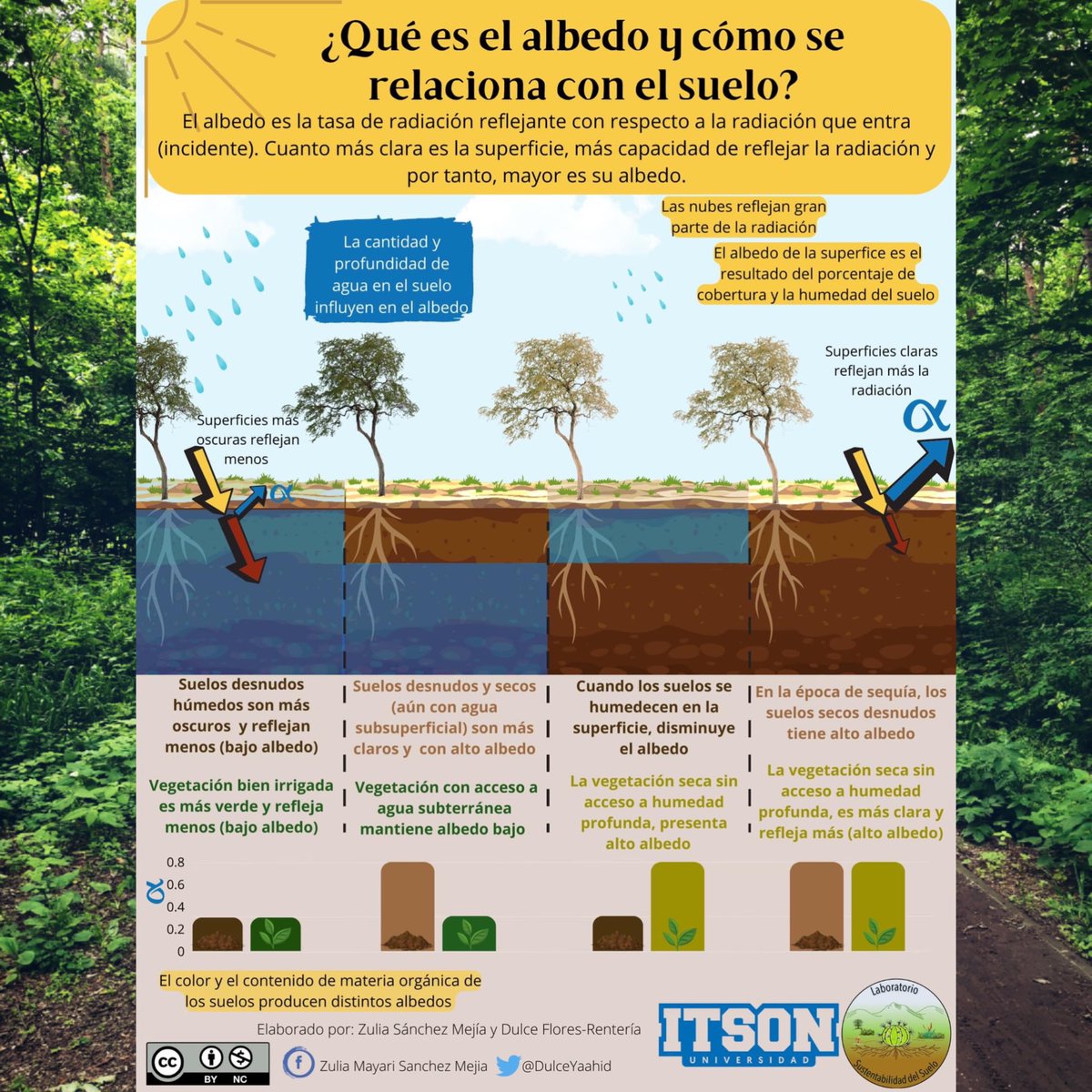 SueloLab's tweet photo. En la octava entrega de la serie "Explorando el equilibrio del suelo" exploramos la influencia de los  suelos en el albedo, que se refiere a la cantidad de radiación solar 🌞 reflejada por la superficie de la Tierra. 

#soil
#biology https://t.co/EirdYnd7Kq