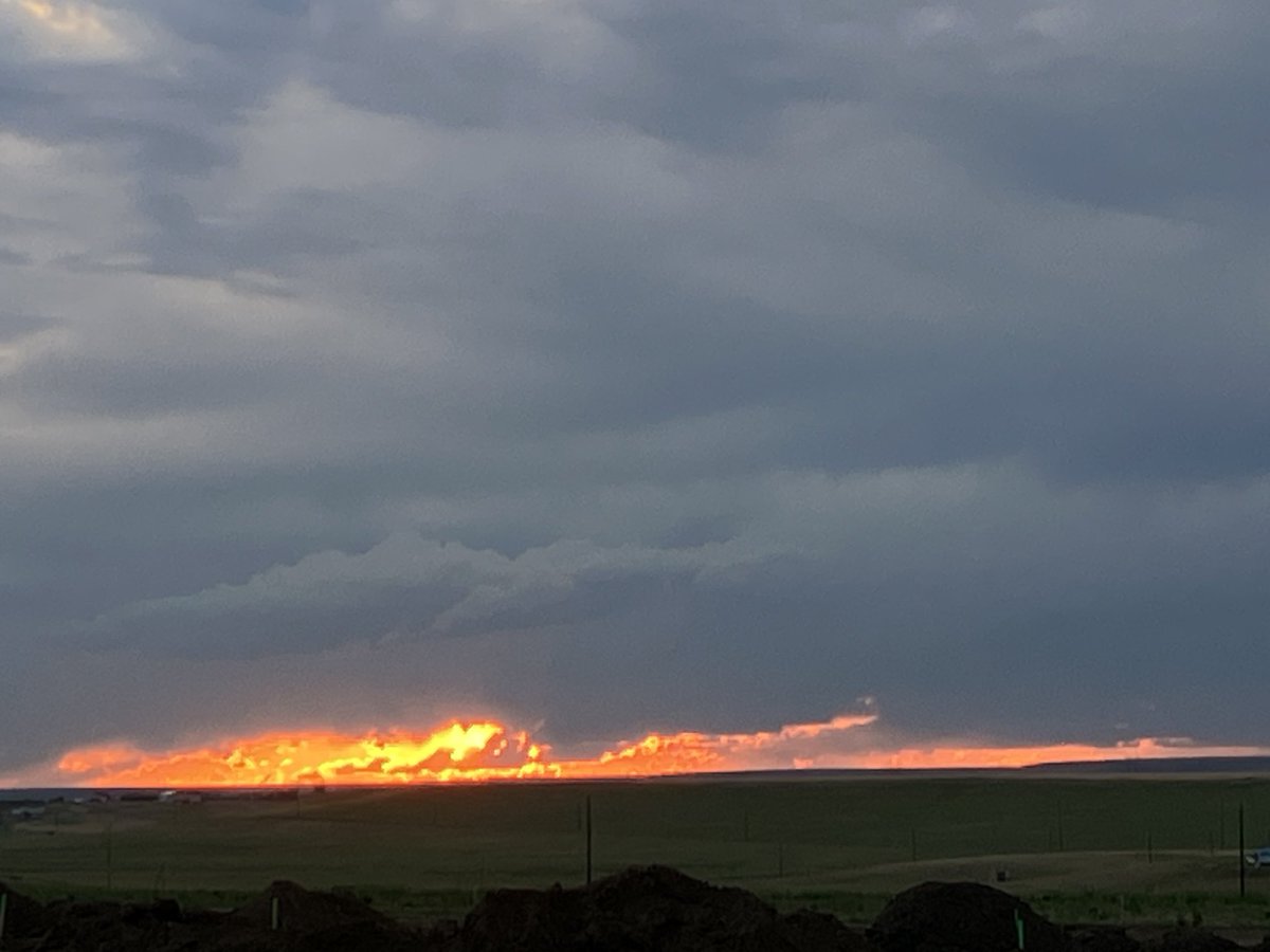 Jax (@jaxdoglife) on Twitter photo 