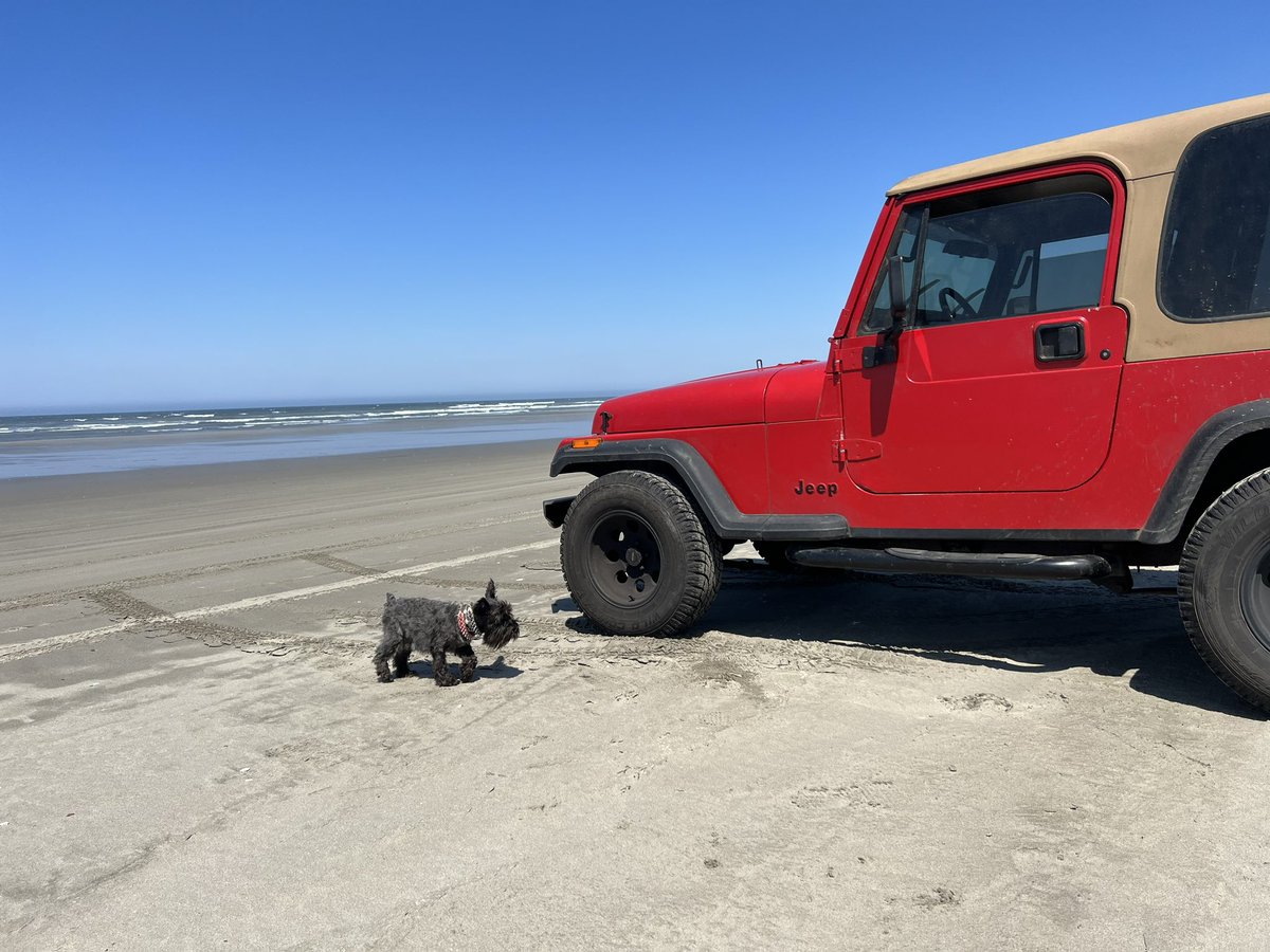 Kaiser on Sunset Beach in Oregon