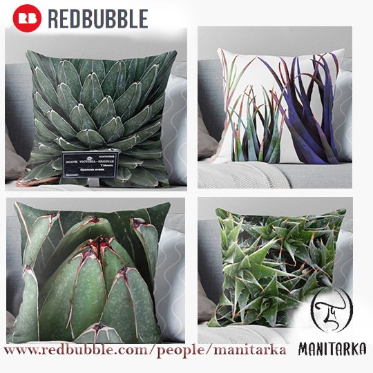 Manitarka's tweet photo. #pillow #cushion #beding #nature #botanical #plants #succulent #Ganesha #om #yoga #sevenchakras #Redbubble #Manitarka
https://t.co/FMuyrdDVHE https://t.co/5CMl69ZyGa