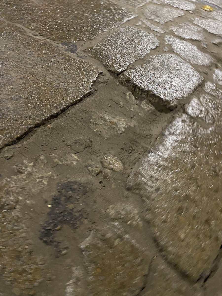 vaskogarcia's tweet photo. Lindo que para la vtv te piden hasta foto con el papa, pero las calles están así @munimardelplata https://t.co/WQa1mlrKIL