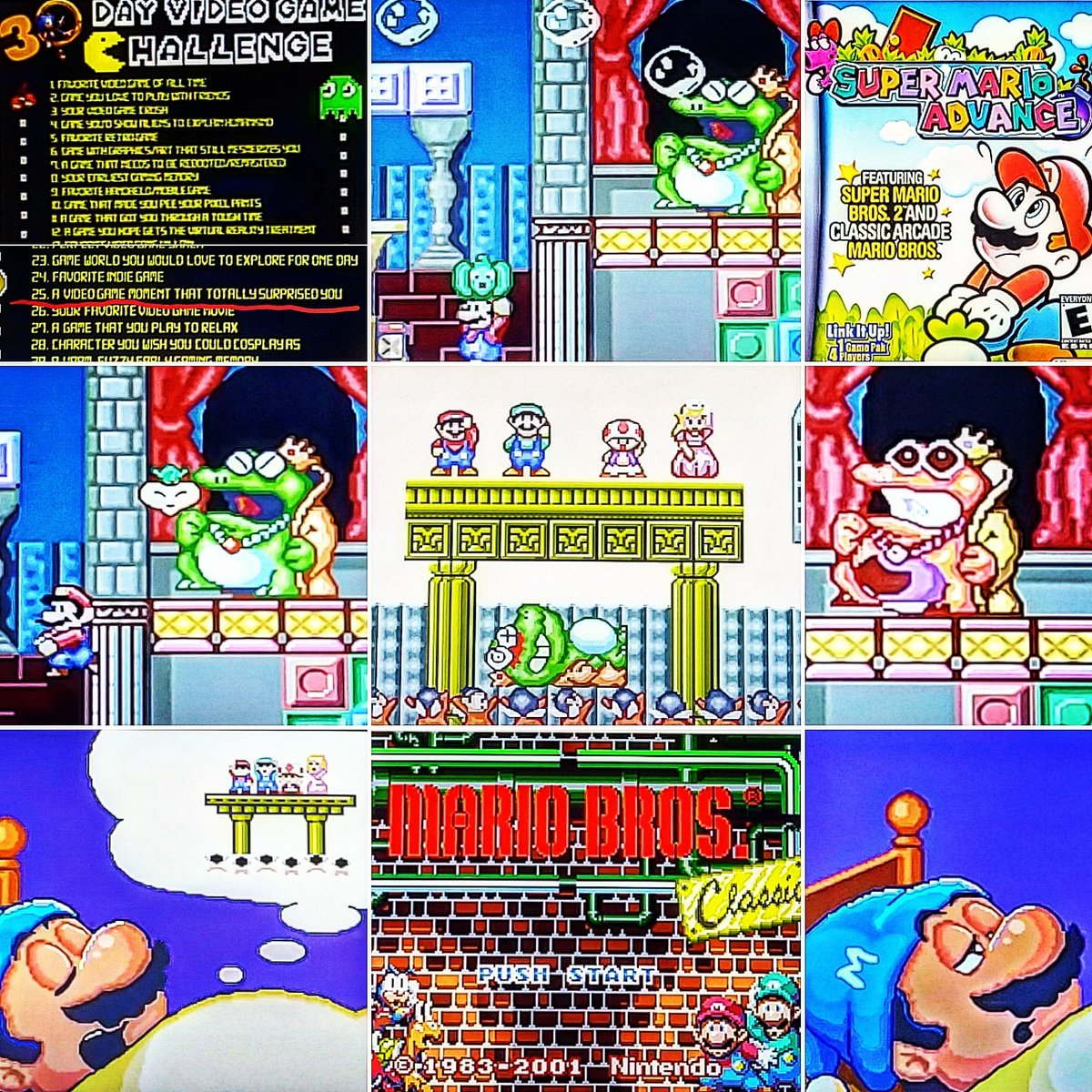 owikj's tweet photo. #30dayvideogamechallenge ๐ฎ๐น
Day 25 : A #videogamemoment that totally #suprised you - #supermariobros2
#wart #mario #luigi #princesspeach #toad #dreamland #subcon #choking #sleeping #supermarioadvance #mariobrosarcade #shellcreeper #sidestepper #fighterfly #gameboyadvance https://t.co/xuGzyysPVK