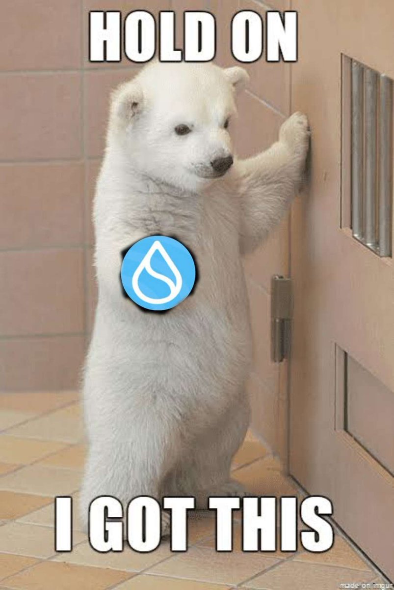 KucskaMark's tweet photo. @suiswap_app  #SUI https://t.co/X38F56LhjV
