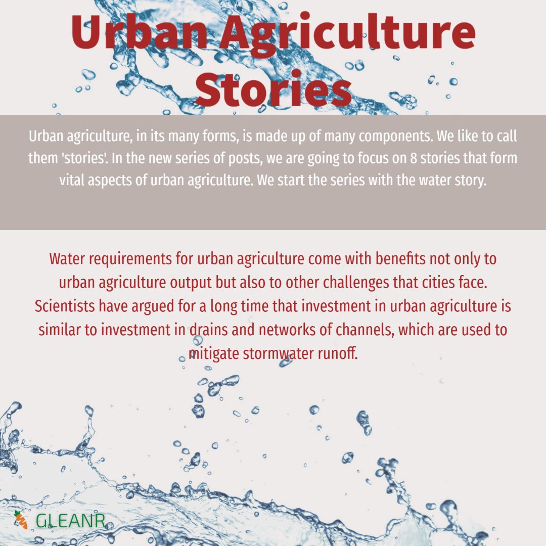 How important is water management in urban farming? #urbanagriculture
#urbanfarming
#growyourown
 #cityfoodgrowing #FoodSecurity #foodresilience