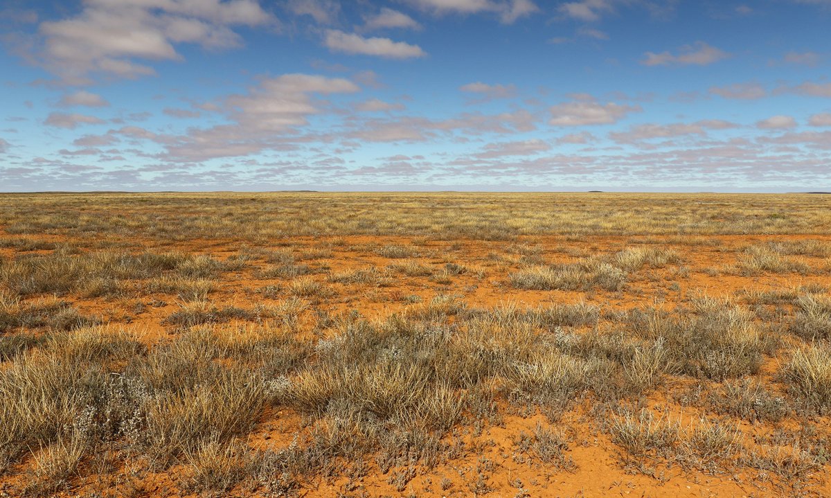 Sandy Horne tweet media