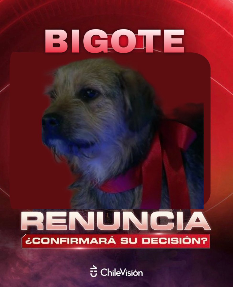 rubenvaldiviam's tweet photo. Bigote en breve #GranHermanoCHV https://t.co/lkyAAQbuKO