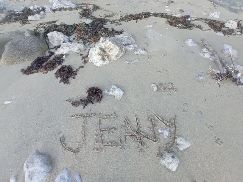 JeanMarg's tweet image. Beach again, please 🙏🏻