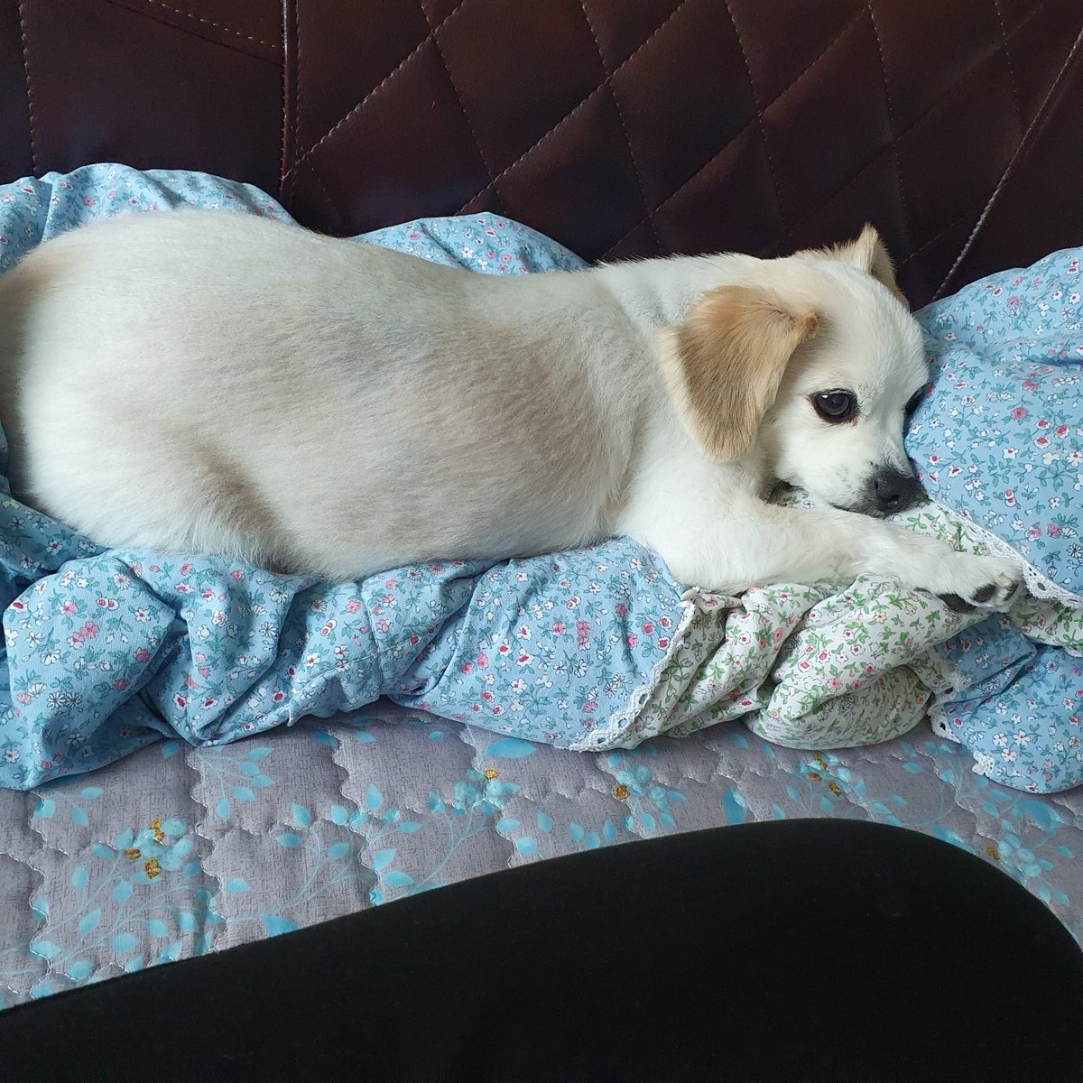 changsik1224's tweet photo. 에구 더워라 https://t.co/38pvEkqPwD