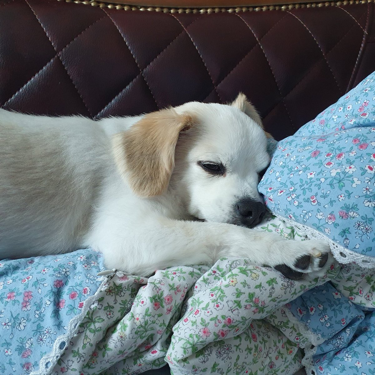 changsik1224's tweet photo. 에구 더워라 https://t.co/38pvEkqPwD