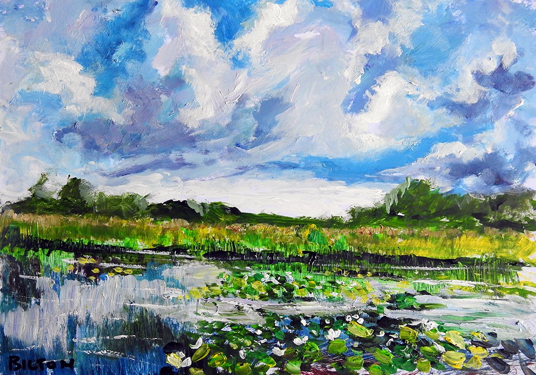 ChrisBilton3's tweet photo. #lilypond #neveradullday #ephemerallandscape #paintingoutside #pleinairpainting #directobservation #landscapepainting #acrylicpaintings #southyorkshire #biltonart #opencountry #trees #clouds #fineartpaintings #allaprima #impastopainting #Halcyondays #clarifiedimpressionism https://t.co/L9NTjTEpIg
