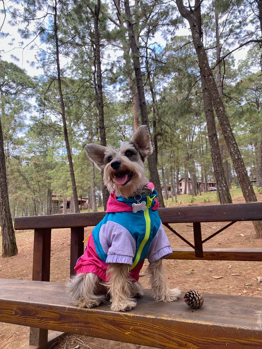 Ella es Bonny, mi bebé 💕#TQMHachiko