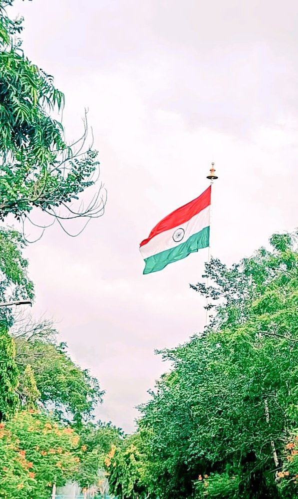 Flag India Nature Indian  Free photo on Pixabay  Pixabay