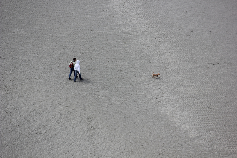 Daily Wisdom - mailchi.mp/wccm/ywfciz5o8…