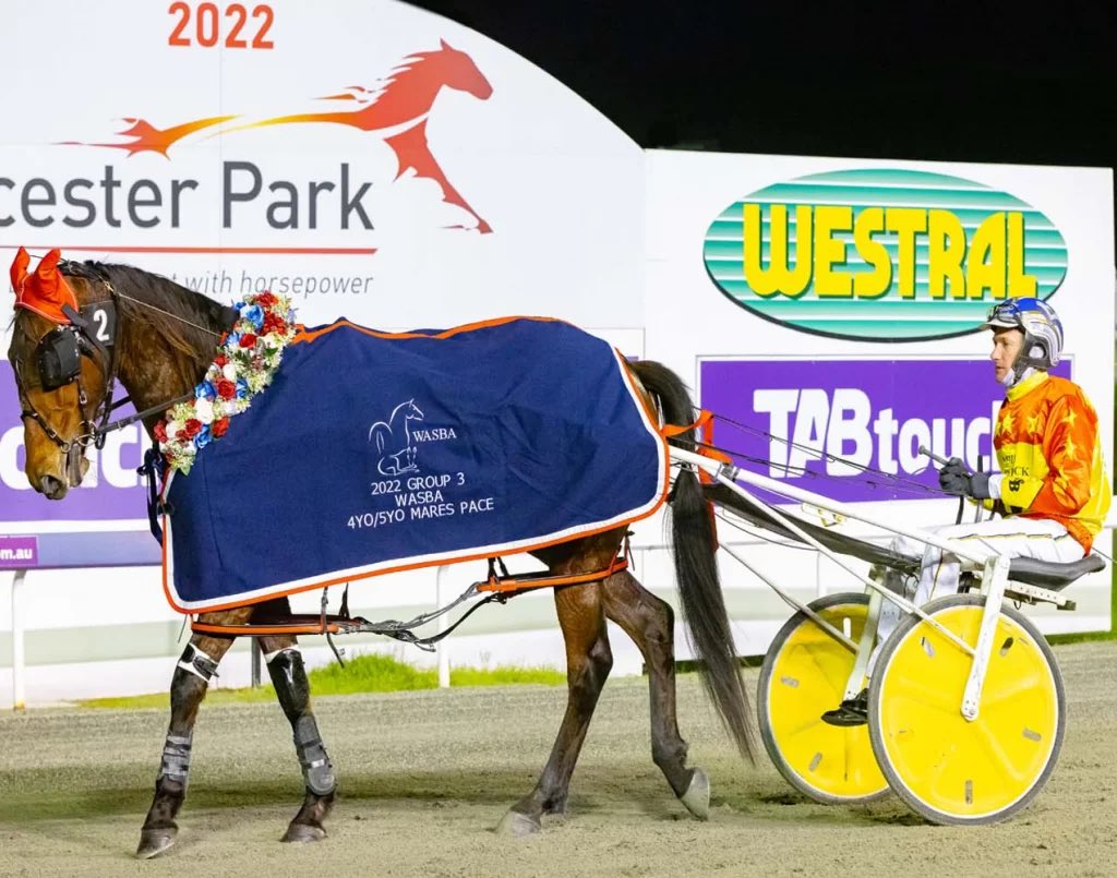 Summit Bloodstock tweet media