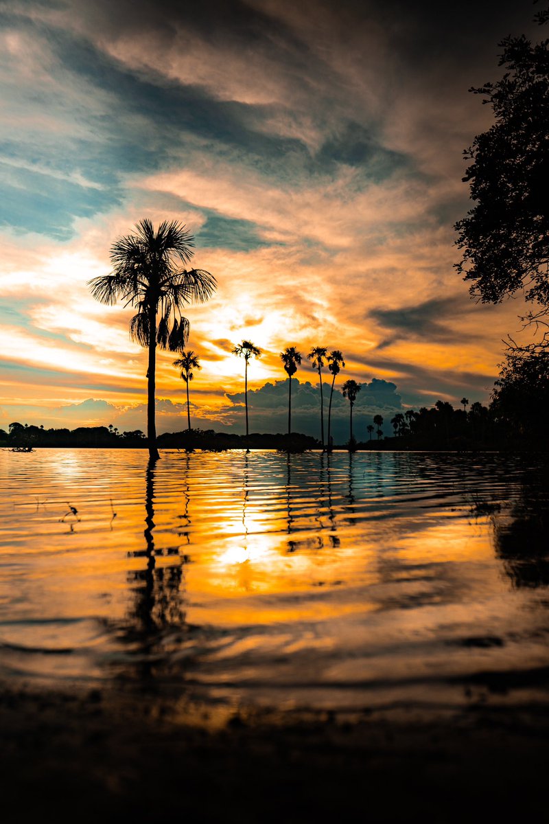 EdwinAvend's tweet image. Por aquí esta foto #naturaleza