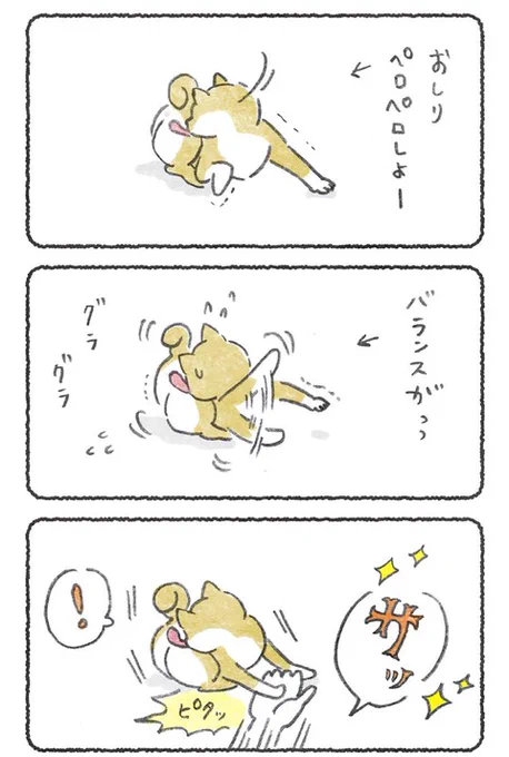 しりぺろ支え士
#柴犬大好き #犬のいる幸せ 