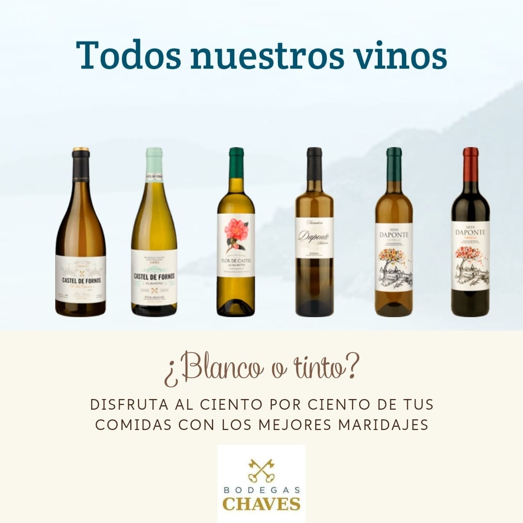 Bodegas Chaves S.L. tweet media