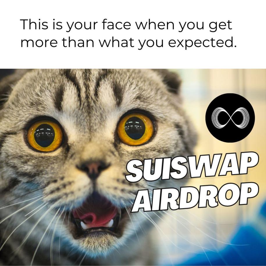 sorayasorb_john's tweet photo. It requires superiority in every detail — @suiswap_app — #SUI https://t.co/5XFWrRRStz