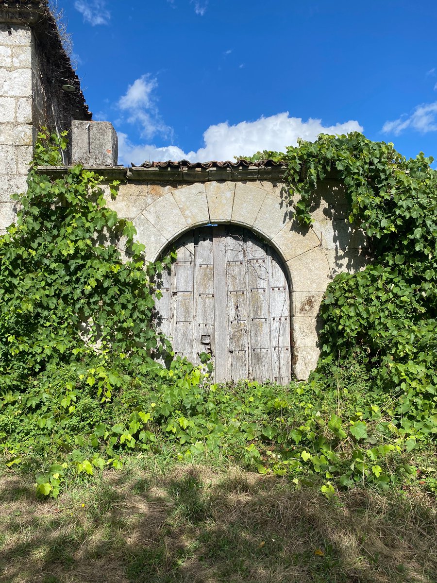 🚧Esperamos poder compartir más detalles de este proyecto. Tenemos muchas ganas de comenzar.