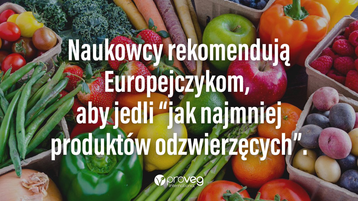 ProVeg_PL's tweet photo. Raport przygotowany przez SAPEA na zlecenie KE wyraźnie wskazuje potrzebę transformacji systemu żywnościowego na roślinny, aby zatrzymać zmiany klimatyczne i pozytywnie wpłynąć na zdrowie ludzi. Oby KE wykorzystała te wnioski pracując nad rewizją strategii „Od pola do stołu” 🌱 https://t.co/EUIti8Oms2