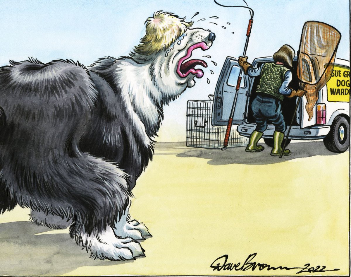 Not that time ! #SueGray #BorisJohnson #CarrieJohnson #Abbagate By @DaveBrownToons