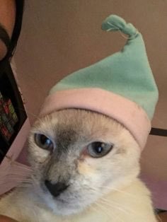 𝖔𝖌 𝖒𝖆𝖗𝖈𝖔 tweet media