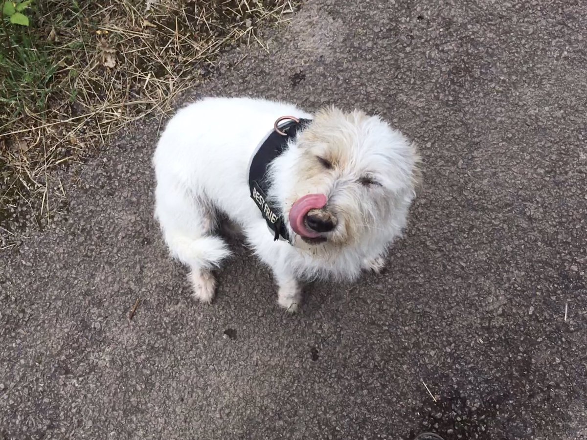 Me impressive tongue out Tuesday ! #tongueouttuesday