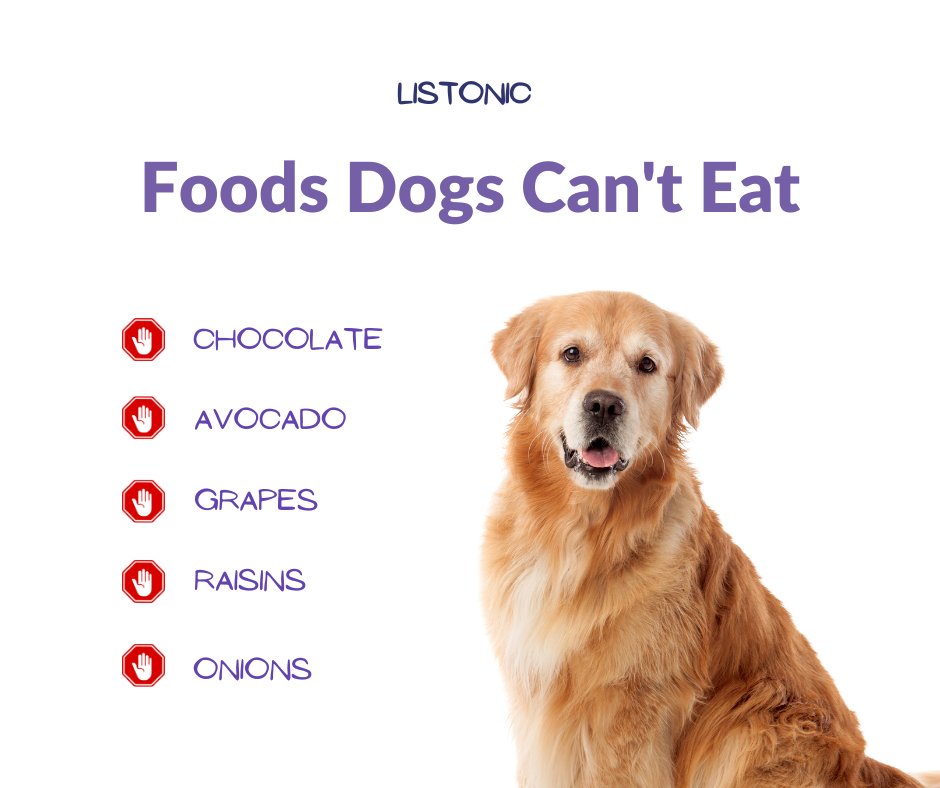 Hey, fellow dog lovers 🐕 Just a friendly reminder about the foods you should keep off your cute friend's grocery list.