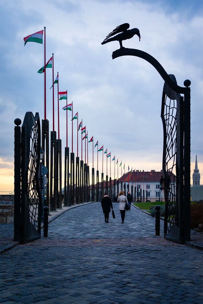 #Crow with the #ring
#gate #budapest #hungary #street #city #Magyarország #spring #project #sony #art #justgoshoot #keliones #travel #createandcapture #aov #passionpassport #shooterssociety #CBViews #moodygrams #bevisuallyinspired #exploretocreate #vibesofvisual